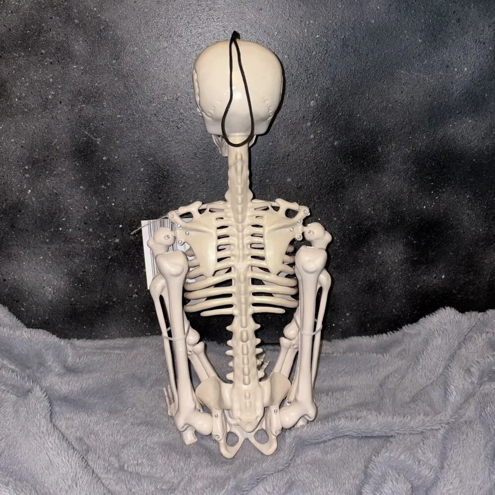 The Halloween Collection 36” Posable Skeleton - New Party Goth Grim Decorations
